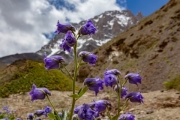 TURTUK-NUBRA