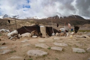 6th June 2021: CHANGTHANG PLATEAU: PUGA HOT SPRINGS, TAGLANGLA