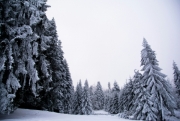 PAHALGAM TO GULMARG